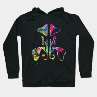 Paranasal Sinus Hoodie